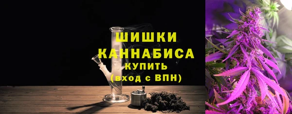 стаф Дмитриев