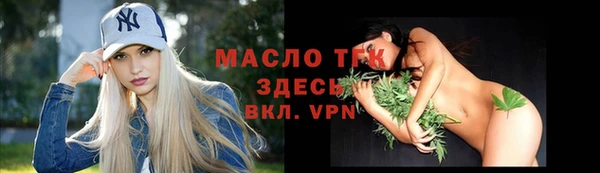 соль ск Дегтярск