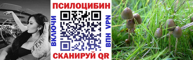 Галлюциногенные грибы MAGIC MUSHROOMS  omg как зайти  Старица  дарнет шоп 